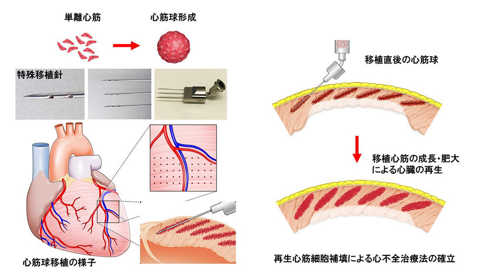 福田教授セミナーイメージ