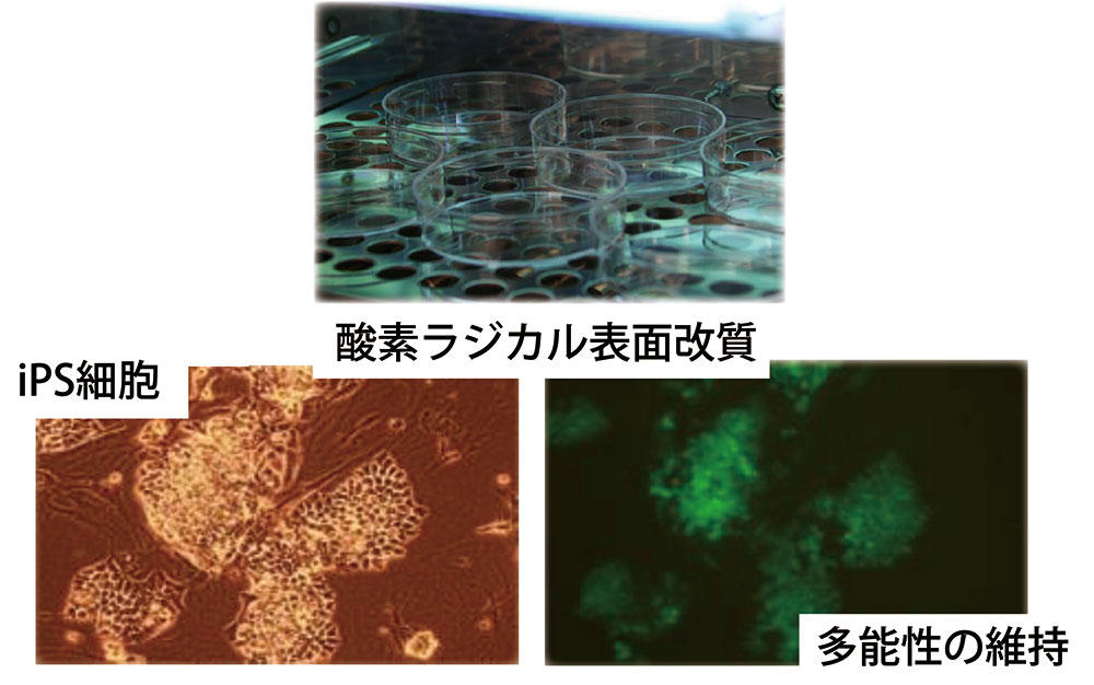 fig2_2024.jpg